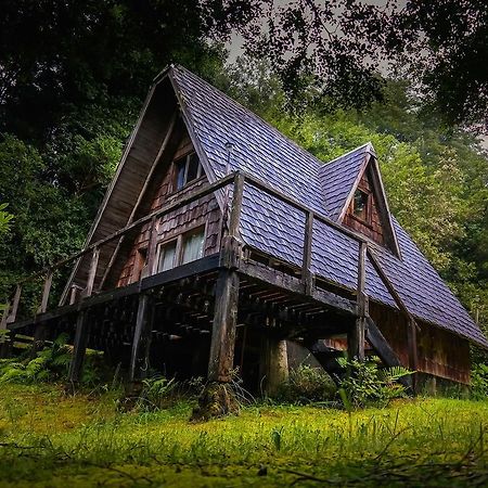 Maison d'hôtes Ralun Patagonia Extérieur photo