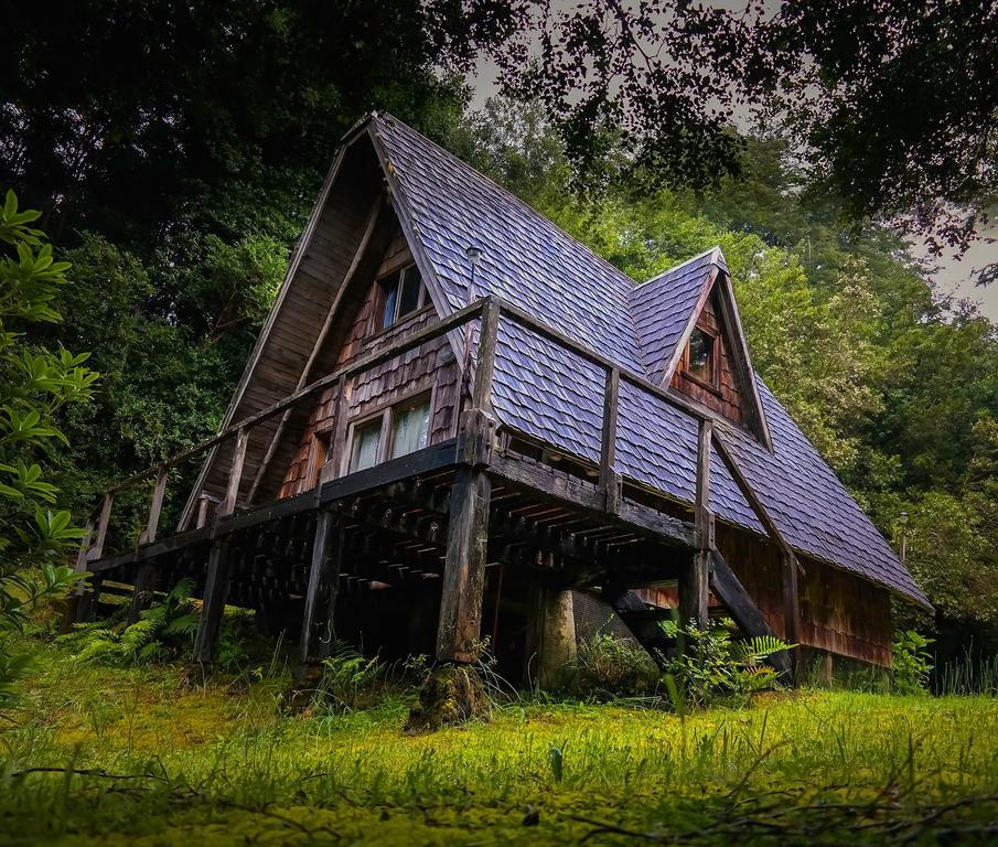 Maison d'hôtes Ralun Patagonia Extérieur photo