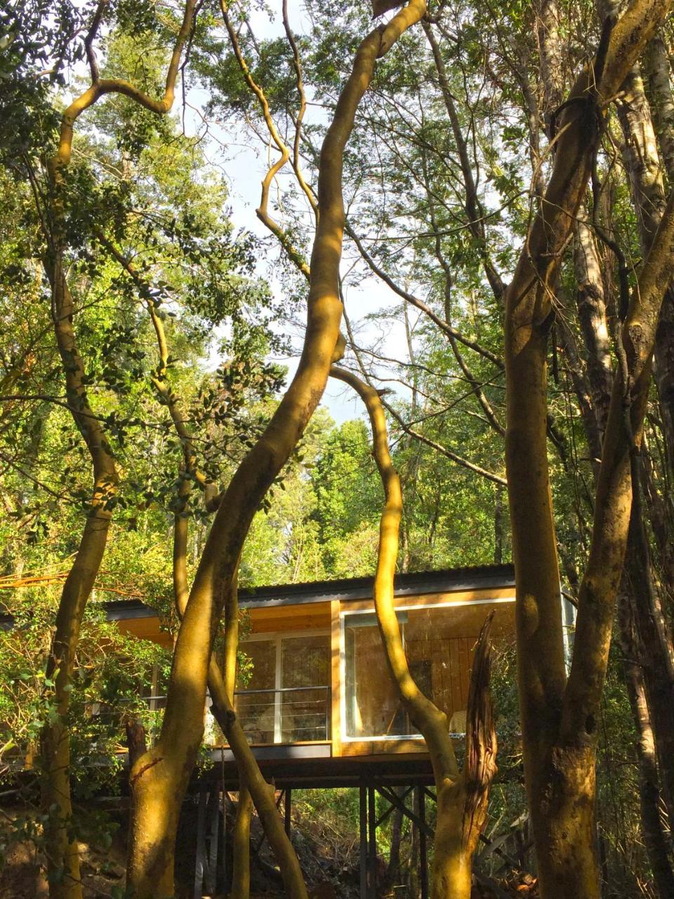 Maison d'hôtes Ralun Patagonia Extérieur photo